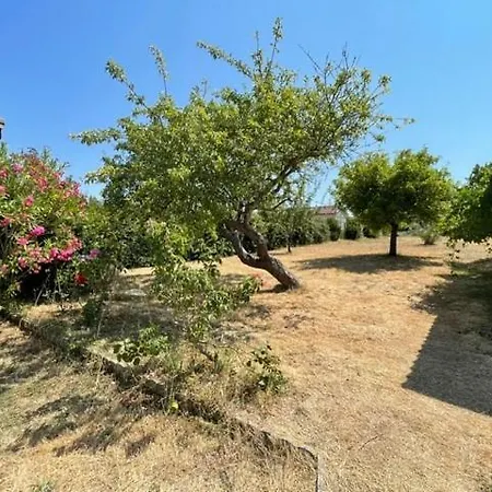 La Govogne Casa vacanze La Plaine-sur-Mer